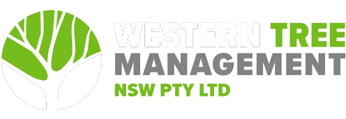 Western Tree Management