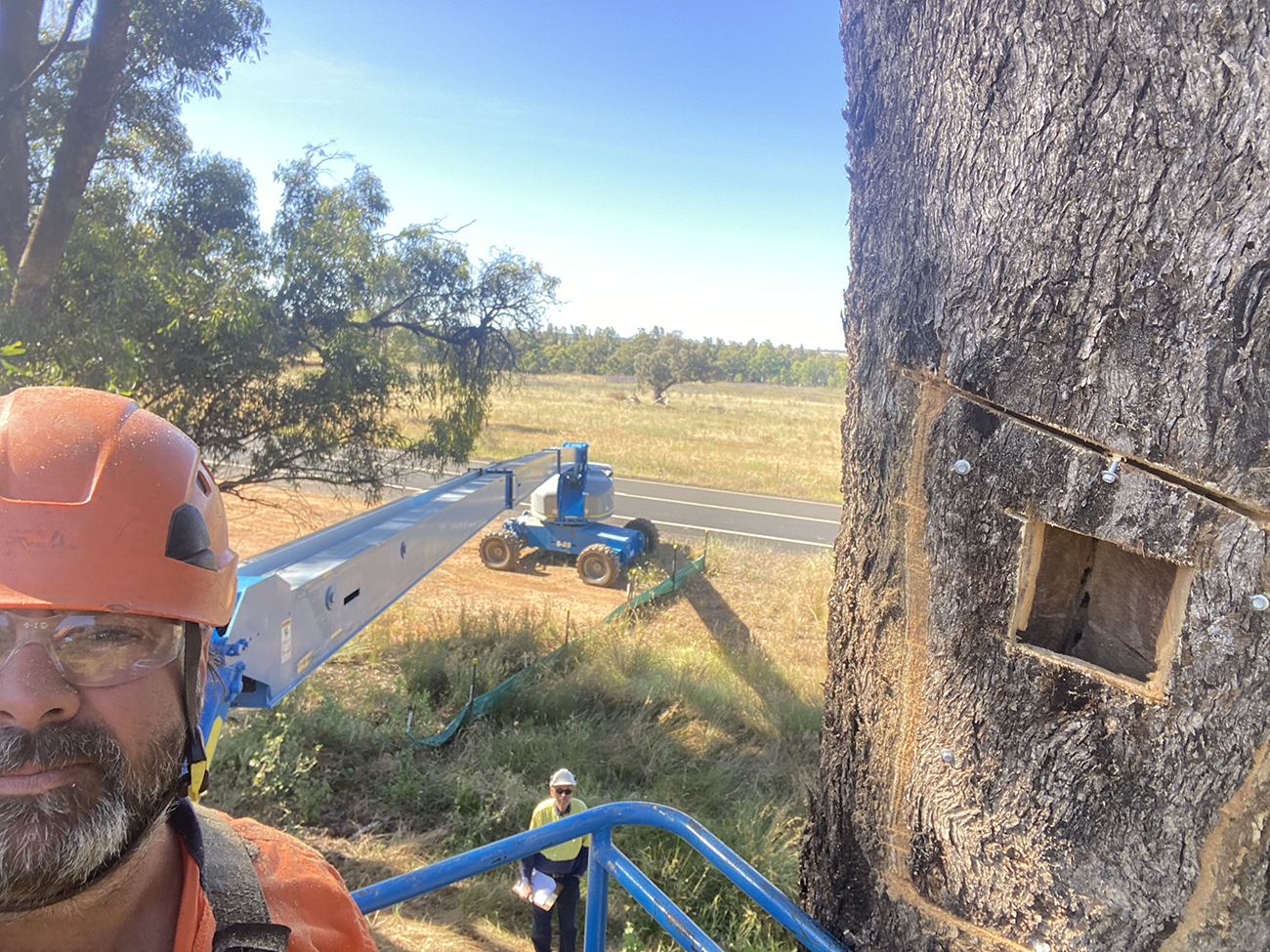 Chris standing with a tree that has been removed