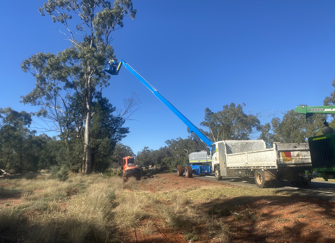 Tree removal pruning and stump grinding