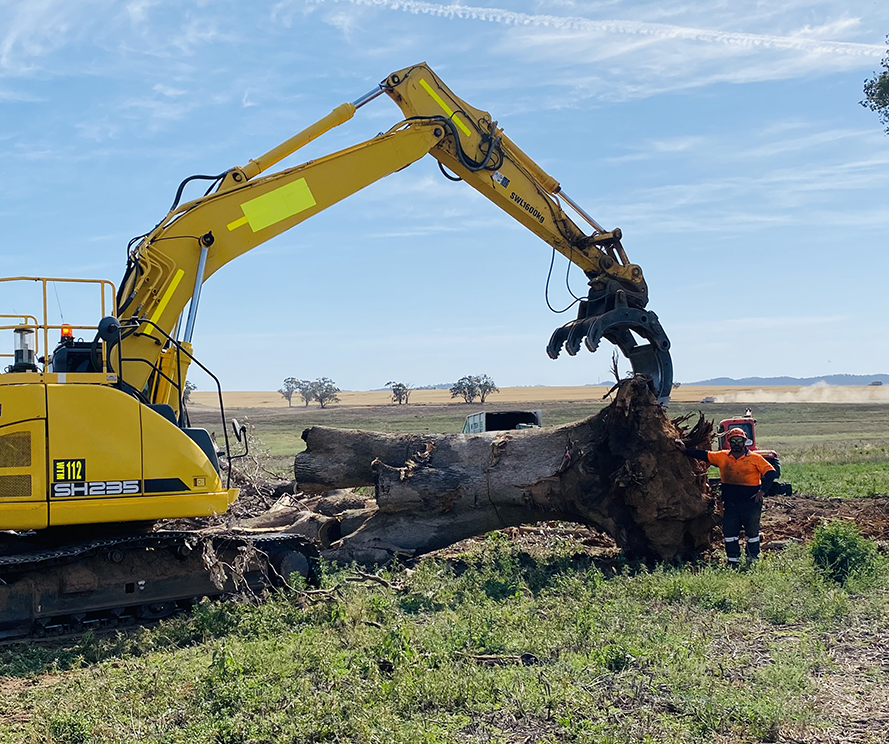 Tree removal pruning and stump grinding